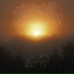 Лесной Танец