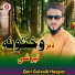 Qari Gulzaib Haqyar