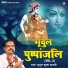 Mridul Krishan Shastri