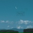 余哲