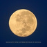 Trouble Sleeping Music Universe