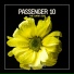 Passenger 10
