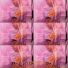 SheisL1