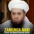 Syed Wazeer Pacha Saifi