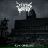 Decaying Womb