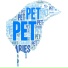 pet canaries