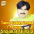Shaukat Ali Raja