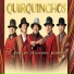 Quirquinchos