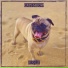 Ruglit