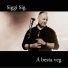 Siggi Sig.