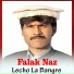 Falak Naz