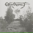 Gothony