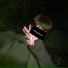 DYOTTO