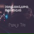 Panji Tri