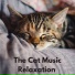 The Cat Relaxer
