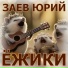 Заев Юрий