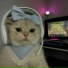 Dev1lHawk, Dev1lCat, xaviorthemachine