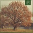 Meister Lampe, Beats for Trees