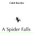 Caleb Beecher