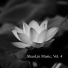 Shaolin monk