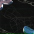 Ant Cosmos