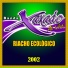 BANDA XAXADO