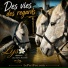 Lys-Chansons