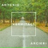 Antonio Arcieri