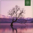 Sa tyr, Dario Lessing, Beats for Trees