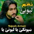Najeeb Armani