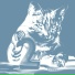 Meow Master