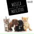 Mascotas Amor Club