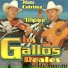 Los Gallos Reales De Michoacán