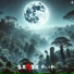 DXMSX