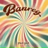 Banreg