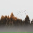 Relajación, White Noise Baby Sleep, Instrumental