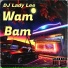 DJ LADY LEE
