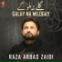 Raza Abbas Zaidi