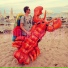 TraumSurfer