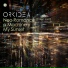 Orkidea