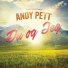 Andy Pett