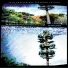 Burnside Project