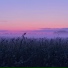 4:00AM
