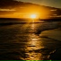 Palan Artridge