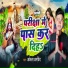 Akela Arvind