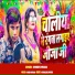 Dinesh Diwana