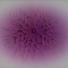 Vinny Vortex