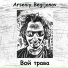 Арсений Бегиджанов