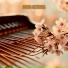 Piano Aeterna