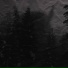 Clxwtorr